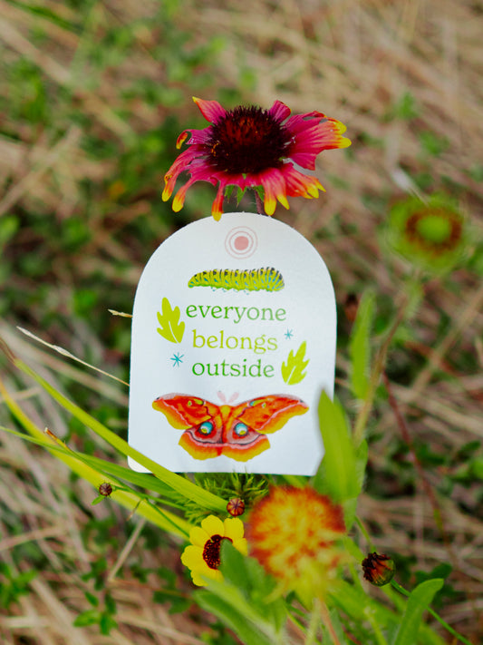 Everyone Belongs Outside Sticker