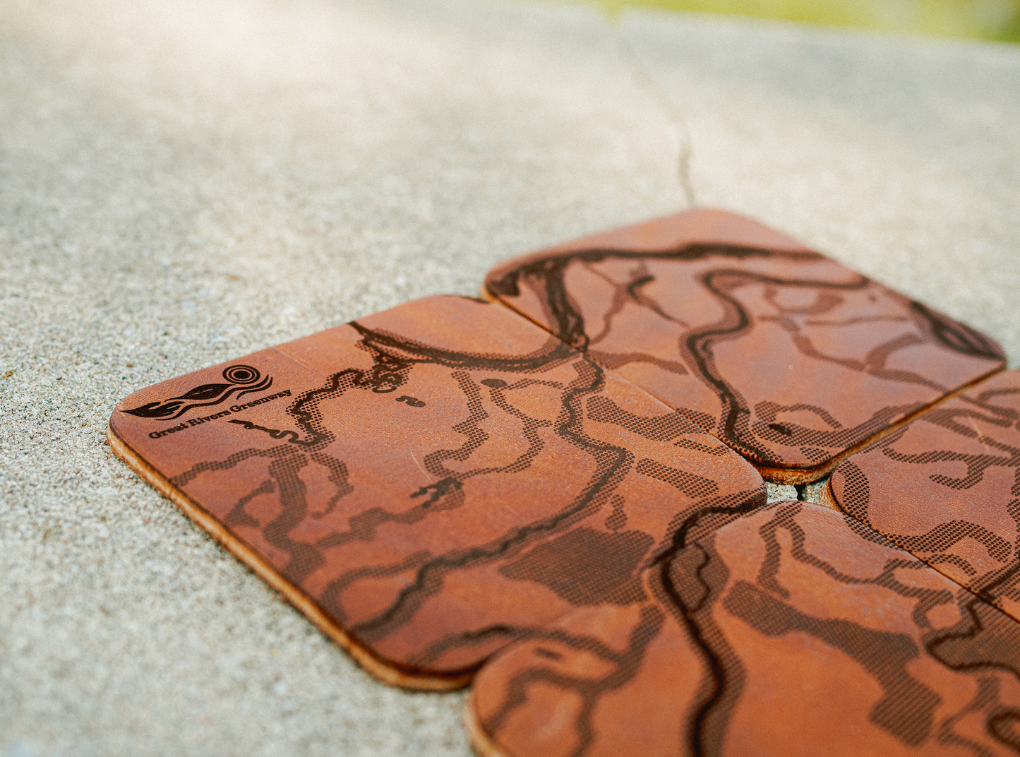 Leather Greenway Coaster Set