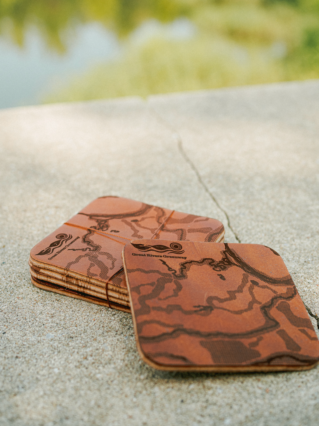 Leather Greenway Coaster Set