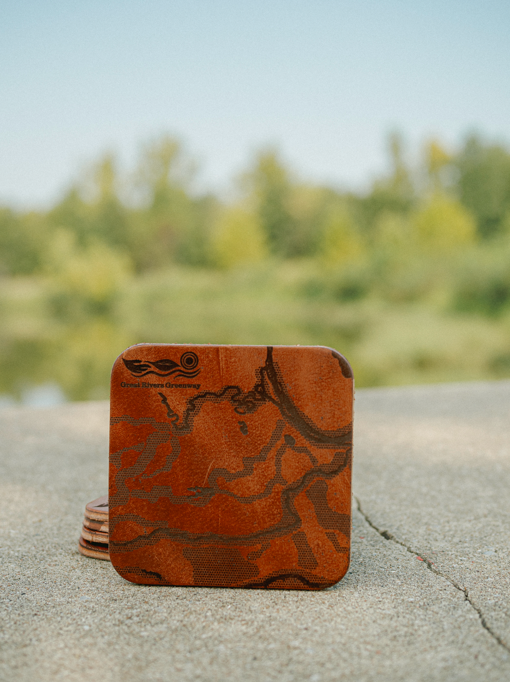 Leather Greenway Coaster Set